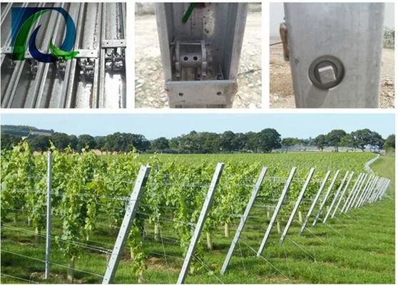 Trellis σταφυλιών 1.5mm 54X30MM θέση με 2 δευτερεύουσες τρύπες Χ