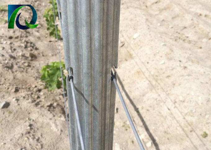 Trellis μετάλλων 2.0MM παχιές θέσεις βαρέων καθηκόντων με διαμορφωμένο το W τμήμα ανακυκλώσιμο