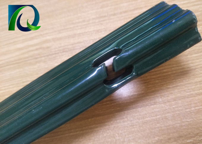 Πράσινες ντυμένες σκόνη θέσεις φρακτών γεωργίας, θέσεις 1.83.5M γραμμών αμπελώνων