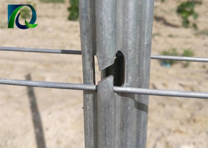 Βαρέων καθηκόντων Trellis αμπελώνων μετάλλων θέσεις με την χ-διαμορφωμένη ζωή υπηρεσιών τρυπών μακριά